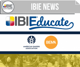 ibieducate ibieducate